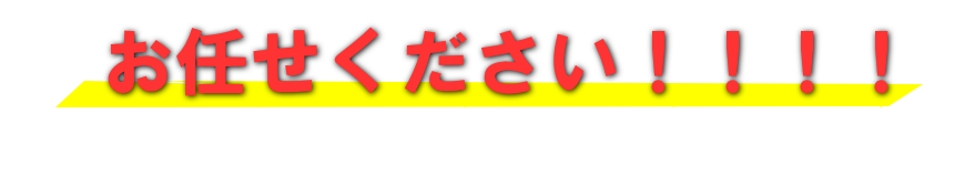 まだ間に合います！！！！